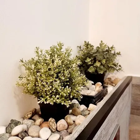 Nice View Apartament Armeneasca 布加勒斯特 Exterior photo